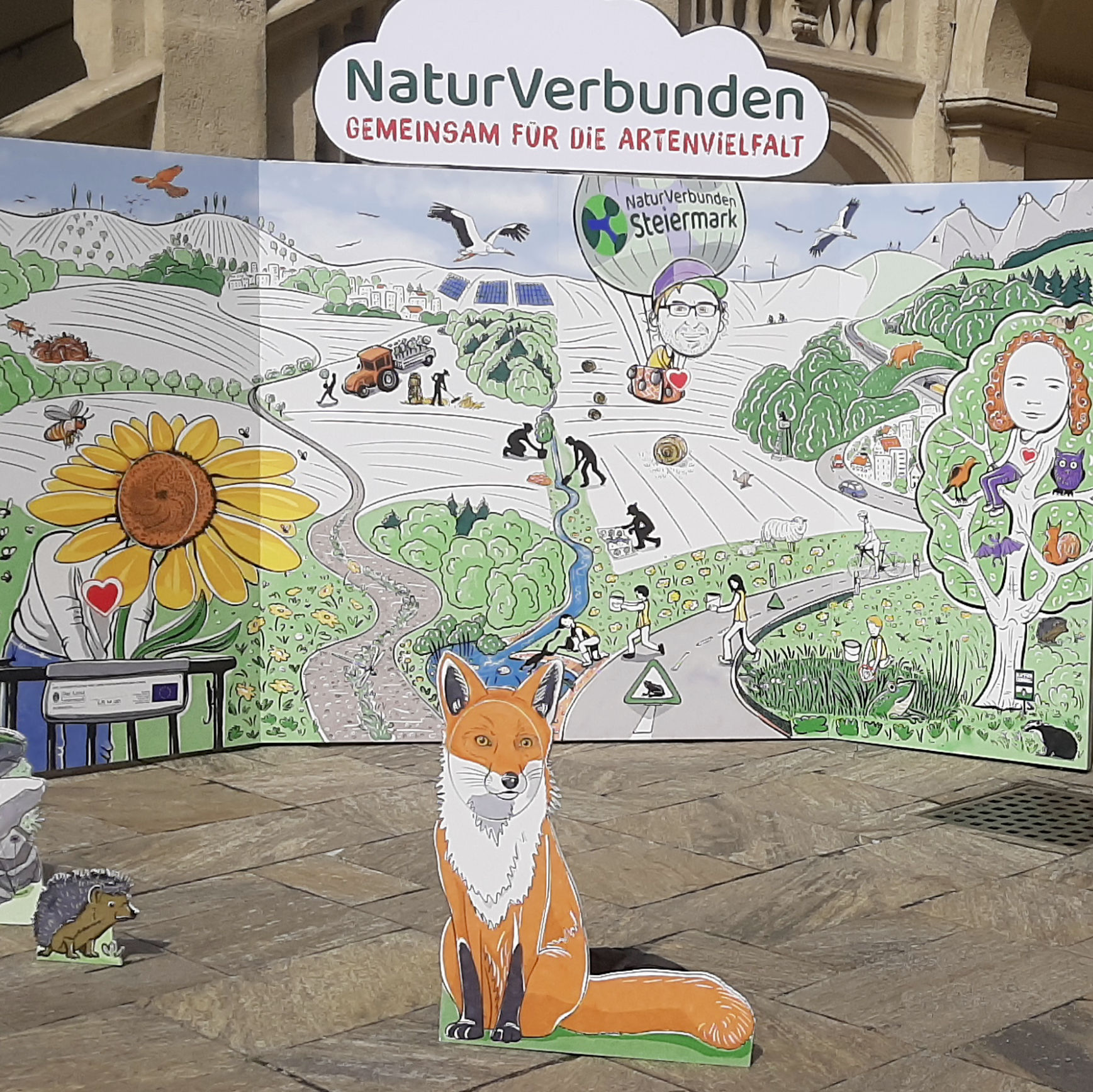 Naturverbund Steiermark Michaela Nutz Illustration Infografik