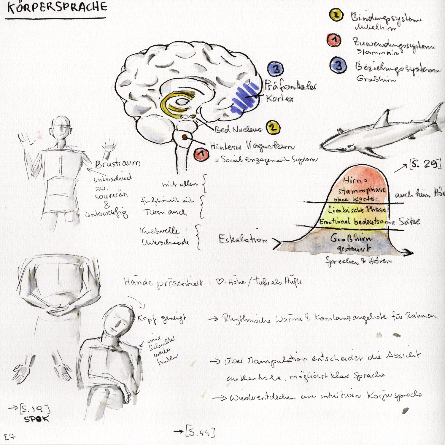 Sketch Notes Michaela Nutz